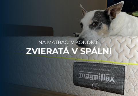 Je dobrý nápad, aby s nami spali miláčikovia v posteli? 