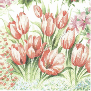 Servítka - motív č. 125 - tulipány