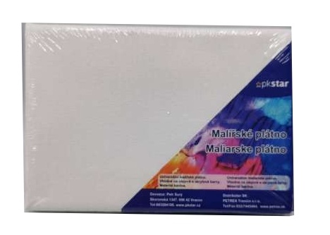 Maliarské plátno 10x15 PK53-10