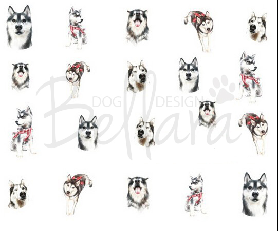Vodolepky Husky