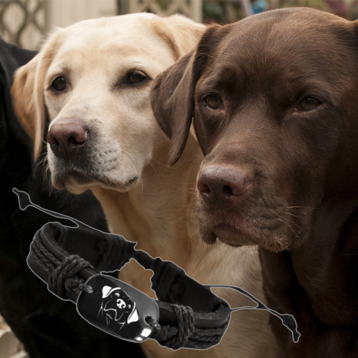 Náramok Labrador