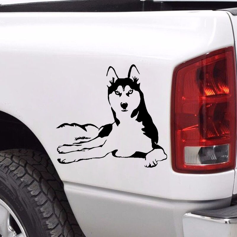 Nálepka na auto Husky