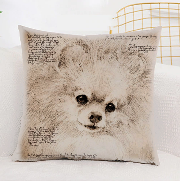 Vankúš pomeranian