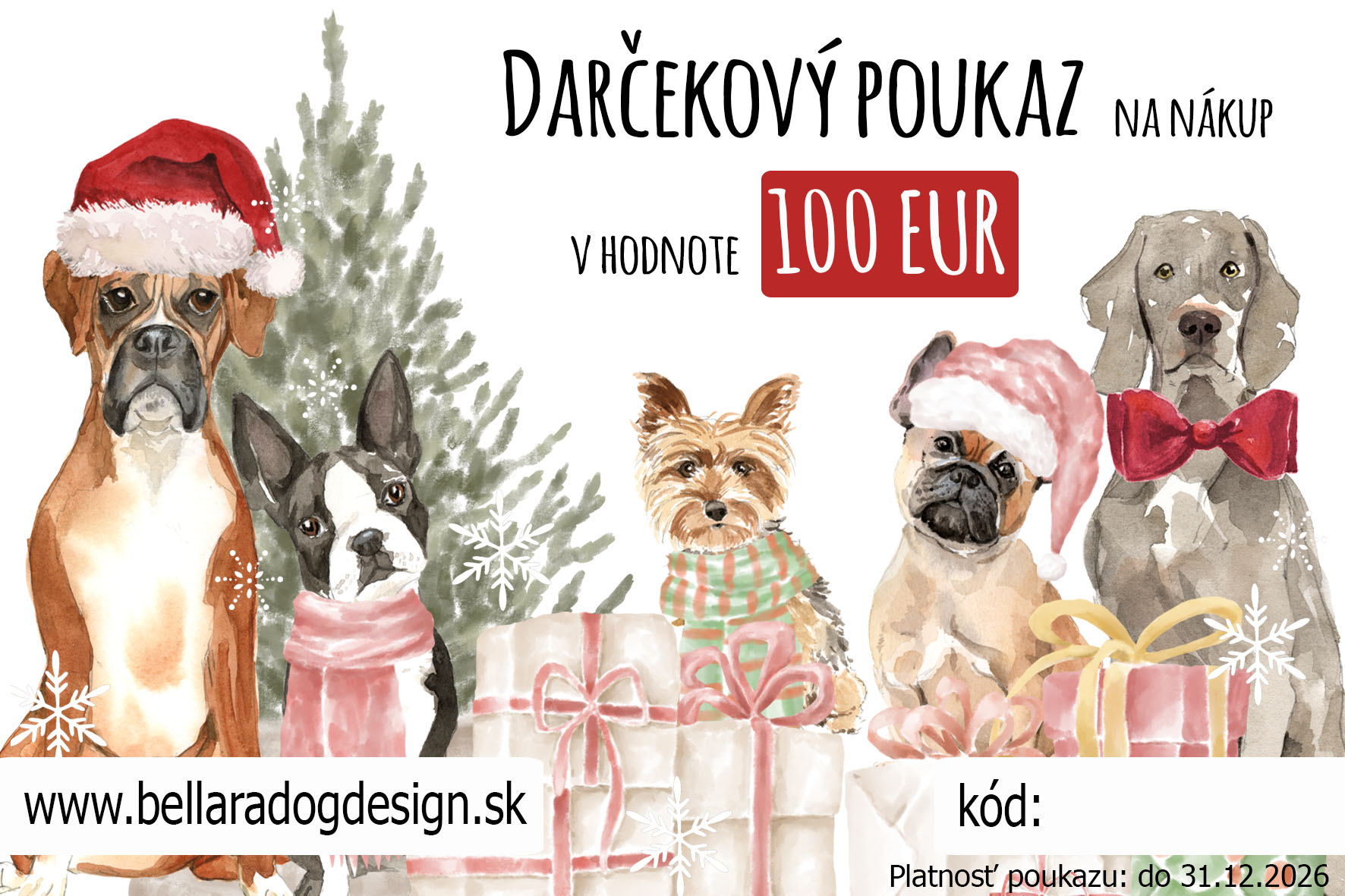 Vianočný darčekový poukaz 100 eur