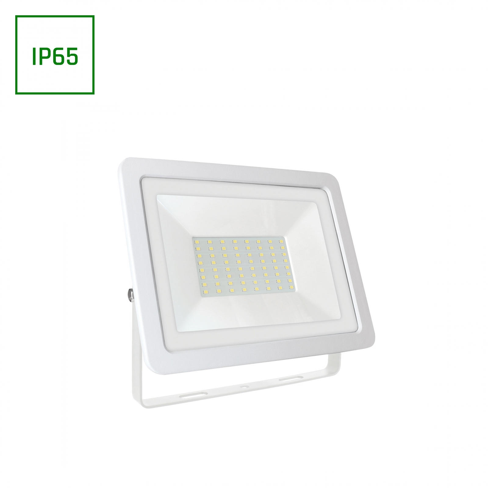 NOCTIS LUX2 SMD 230V 50W IP65 CW white