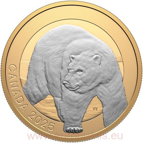 20 Dollars 2025 Kanada PROOF Gilded 31,39 g Ag Polar Bear