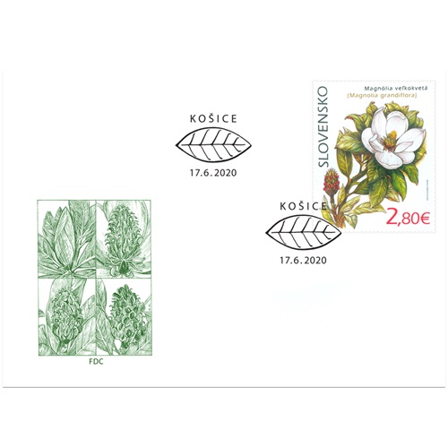 FDC 2020 Slovensko, Ochrana prírody: Magnólia veľkokvetá (FDC 715)