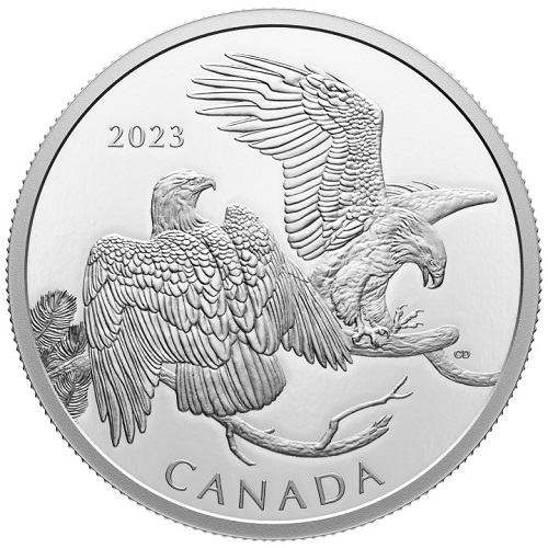 30 Dollars 2023 Kanada PROOF 62,69 g Ag The Striking Bald Eagle