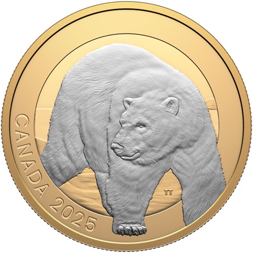 20 Dollars 2025 Kanada PROOF Gilded 31,39 g Ag Polar Bear