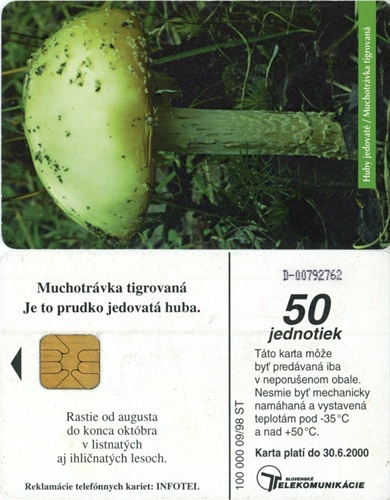 Tel.Karta, 1998 Slovensko, ST, Muchotrávka tigrovaná