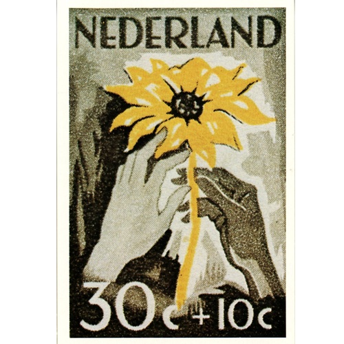 Pohľadnica 1980 Holandsko čistá, Červený kríž (30+10 C)