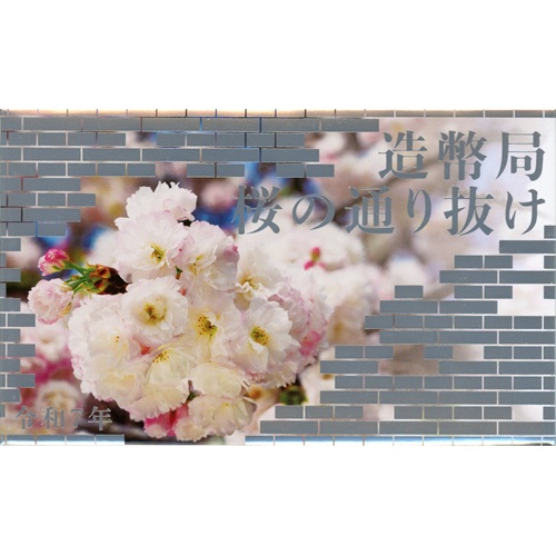 SADA 2025 Japonsko BU plexi, Cherry Blossom (666 Yen)