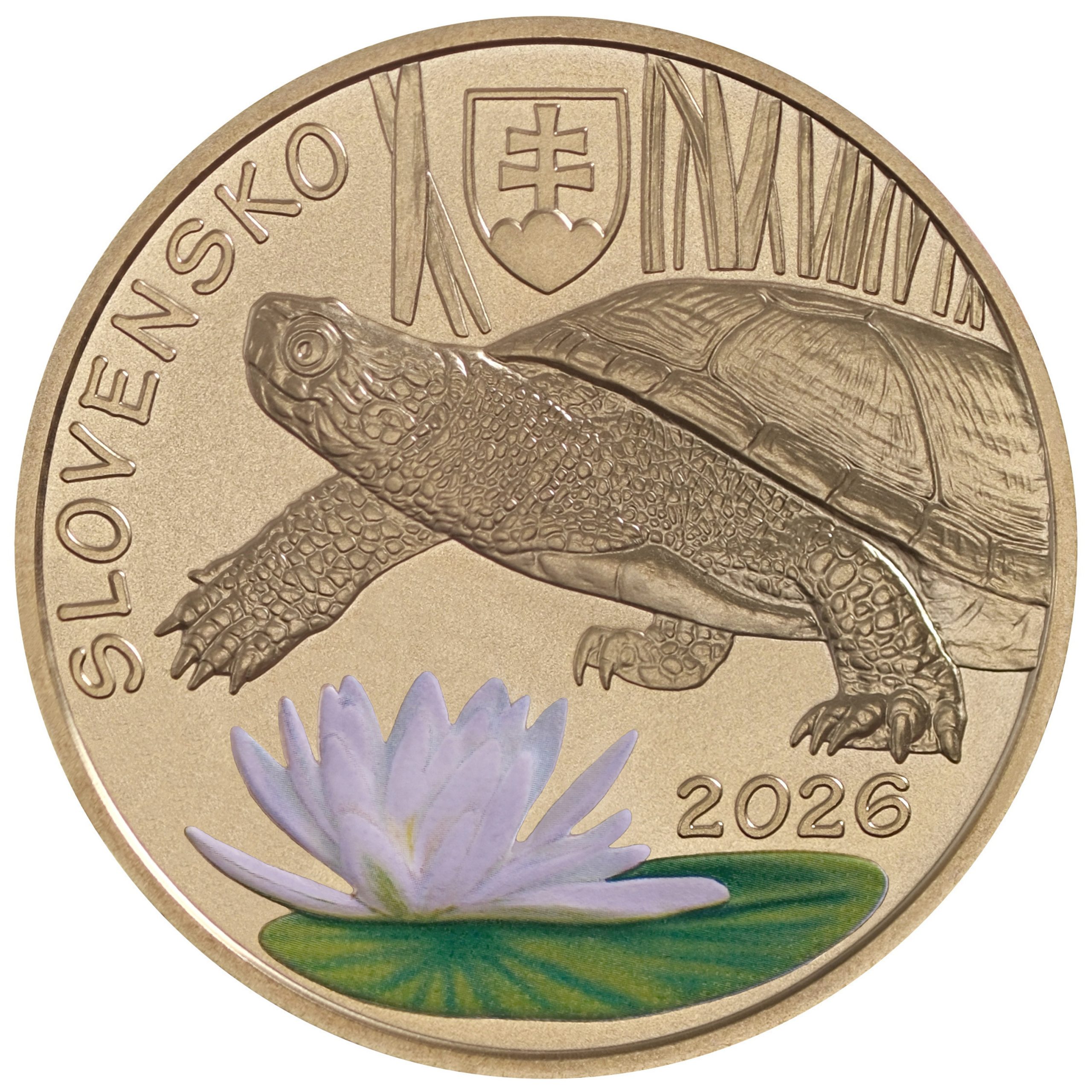 5 euro 2026 Slovensko BK, Korytnačka Močiarna