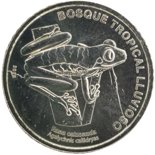 50 Colones 2023 Kostarika UNC, Red-eyed Tree Frog
