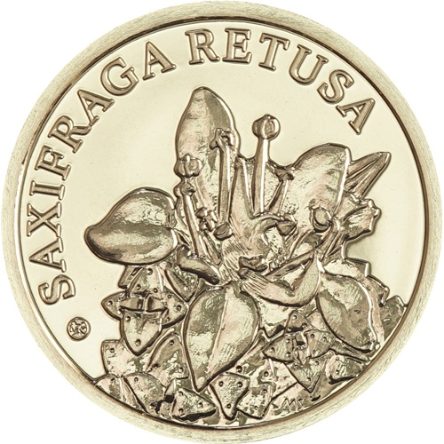 10 Dollars 2026 Niue BU 1/10 Oz Au, Lomikameň okrúhlolistý