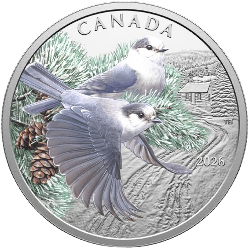 20 Dollars 2026 Kanada PROOF farbená 1 Oz Ag, Colourful Birds