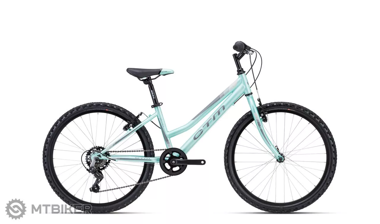 CTM MONY 24" mat. tytkys /perleť 13" ram 223.036