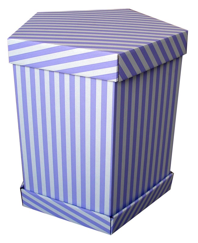 Kartónový päťboký hranol 300 x 300 x 650 mm.3 VLB BH