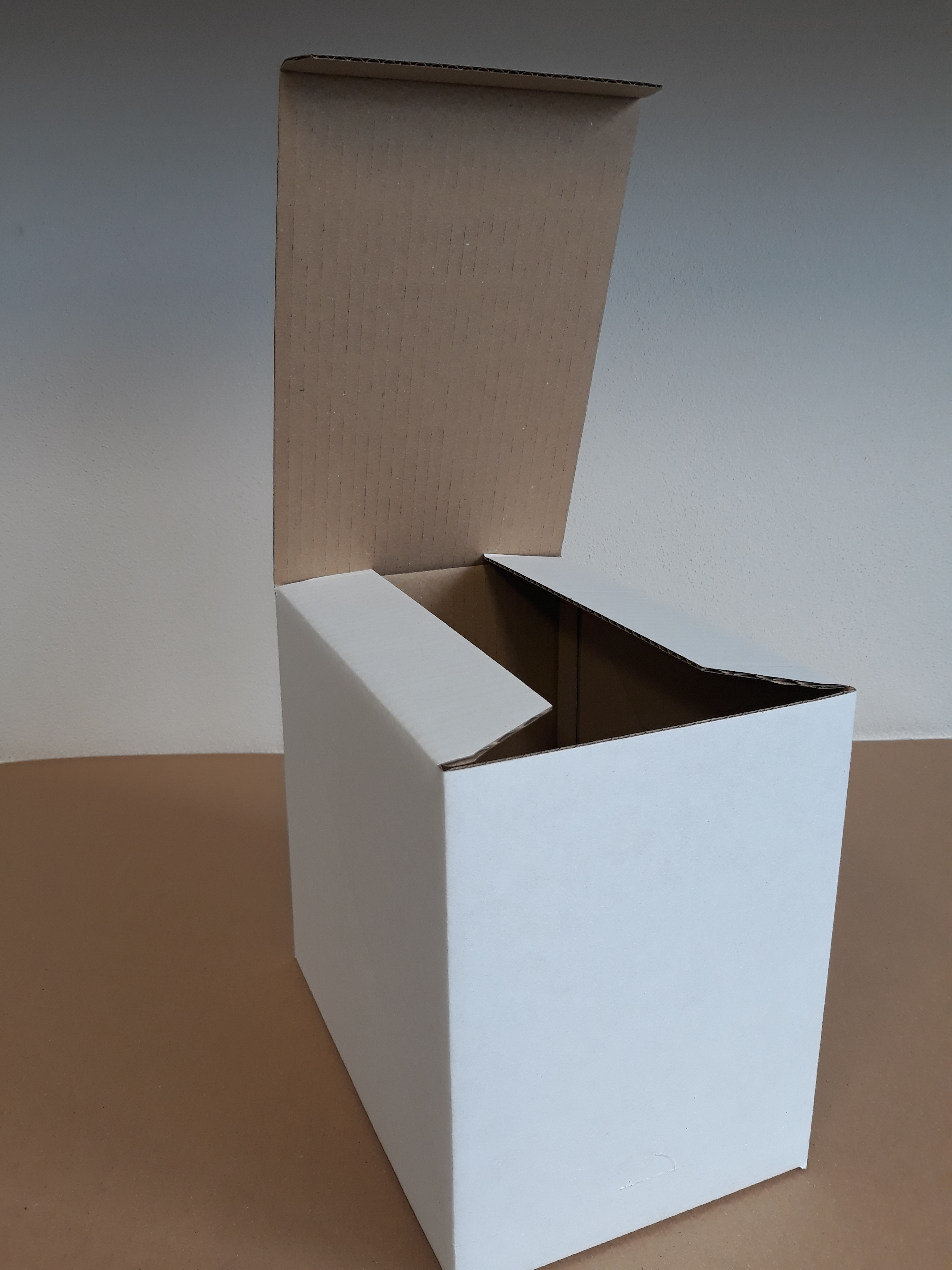 Kartónový obal , 230 x 160 x 205 mm ,z 3 VLB BH