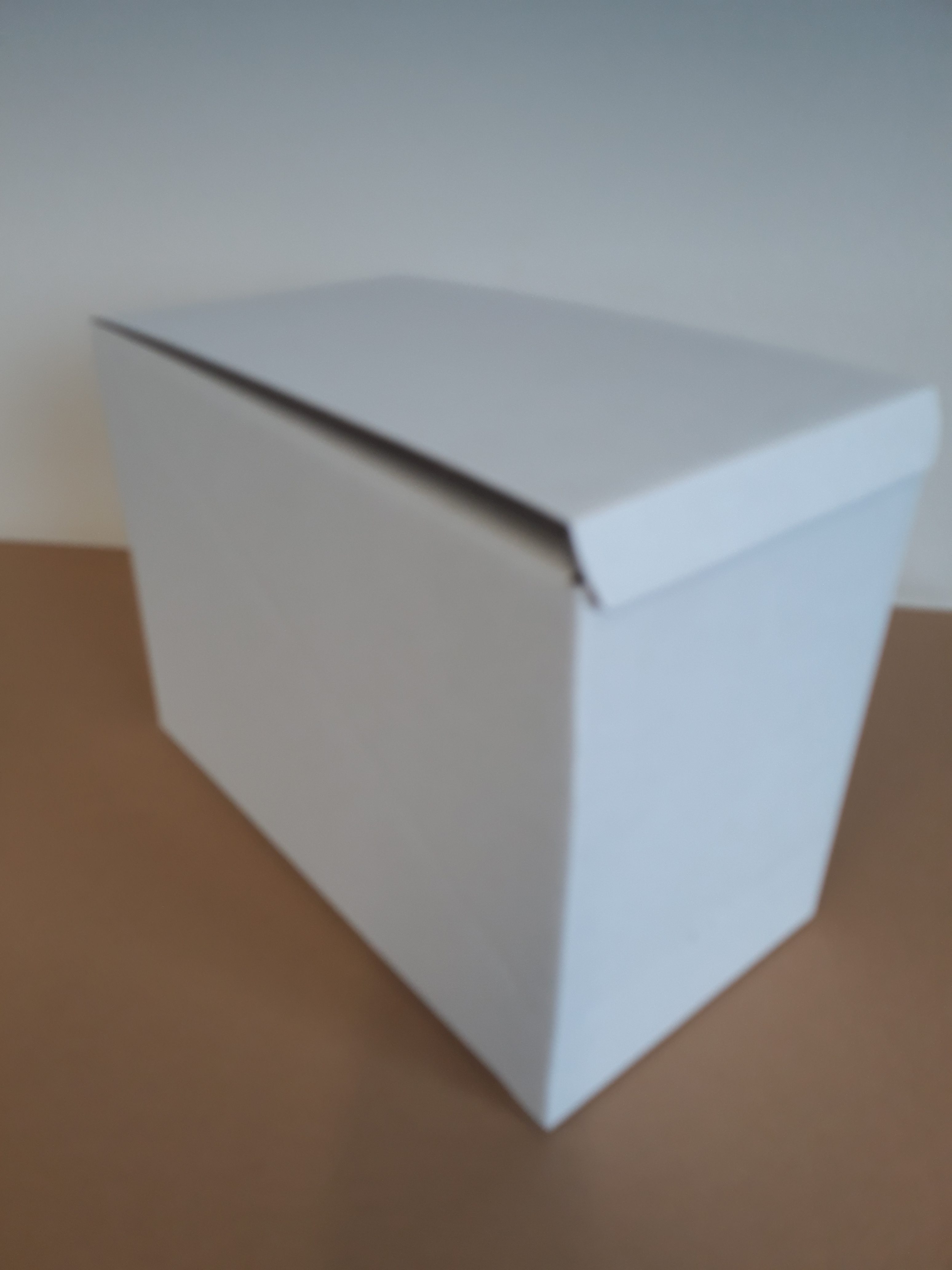 Kartónový obal , 310 x 169 x 219 mm ,z 3 VLB BH