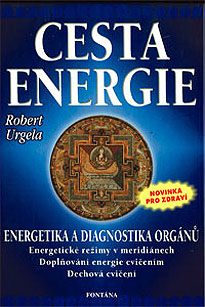 Cesta energie / Energetika a diagnostika