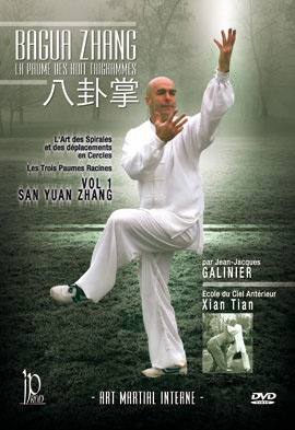Bagua Zhang The Palm of 8 Trigrams 1