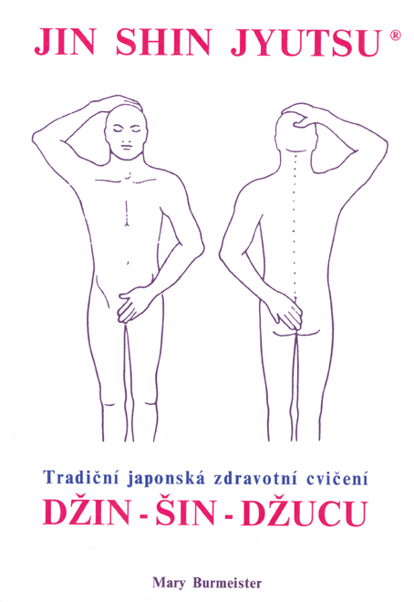 Džin Šin Džucu 