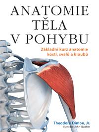 Anatomie těla v pohybu