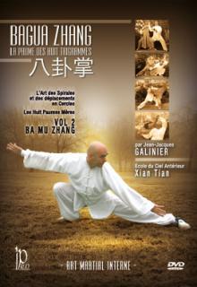 Bagua Zhang The Palm of 8 Trigrams 2