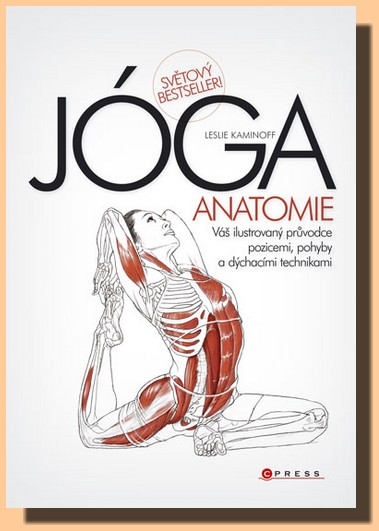 JÓGA – anatomie