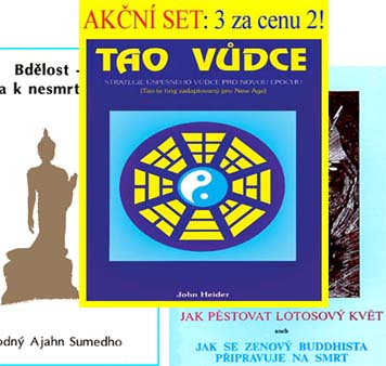 set MOTIVAČNÍ LITERATURY   (3 za cenu 2)