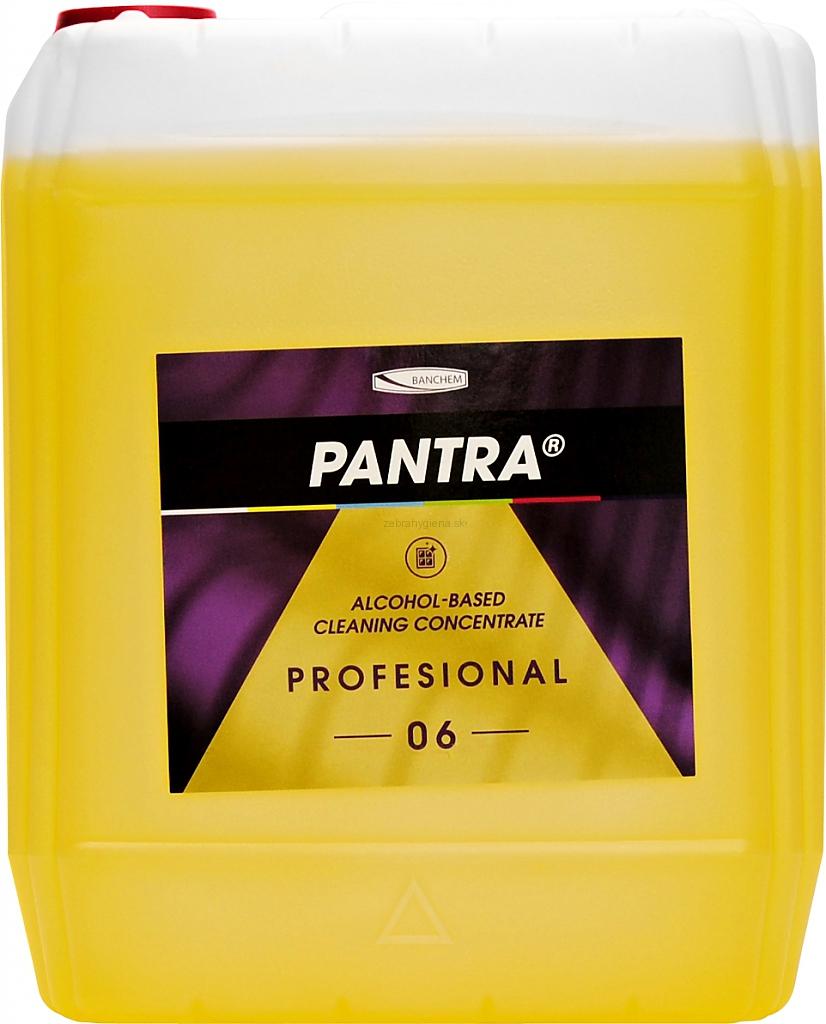 Pantra profesional 06  5L