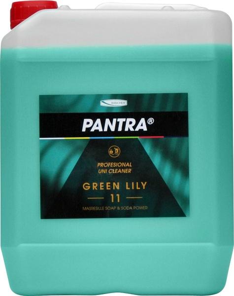 Pantra profesional 11