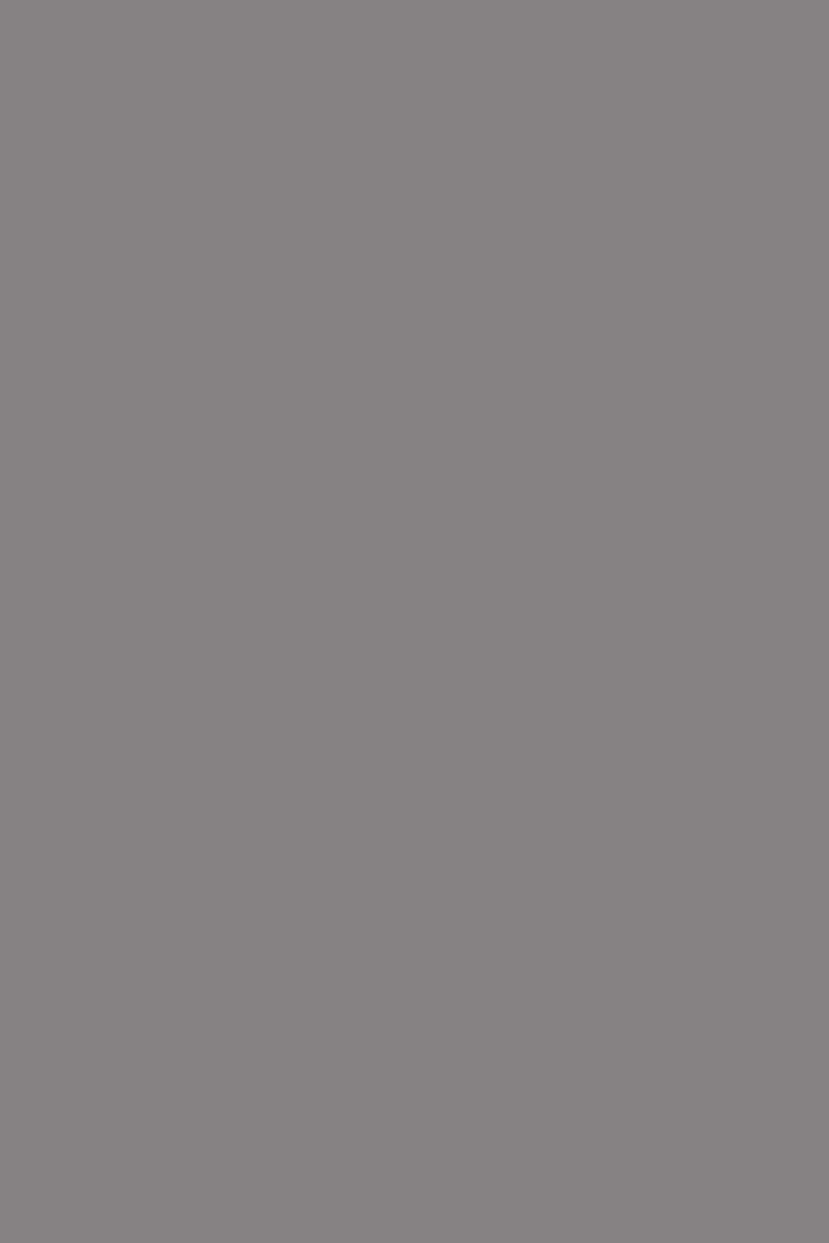 0171 HG/BS Slate grey 18x1220x2800 mm