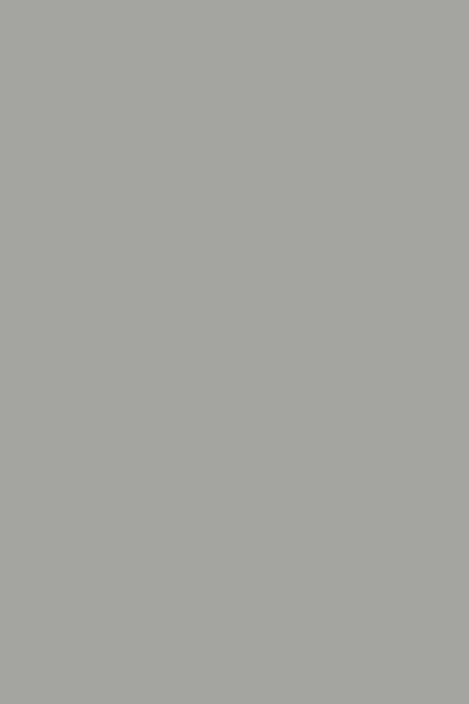KR LDTD 0197 SU Chinchil grey 18 x 2070 x 2800 mm