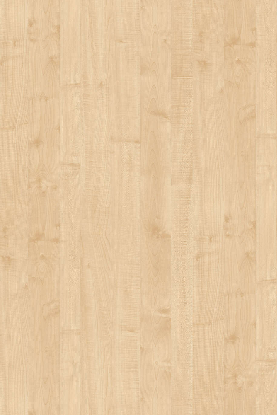 KR LDTD 0375 BS Maple 18 x 2070 x 2800 mm