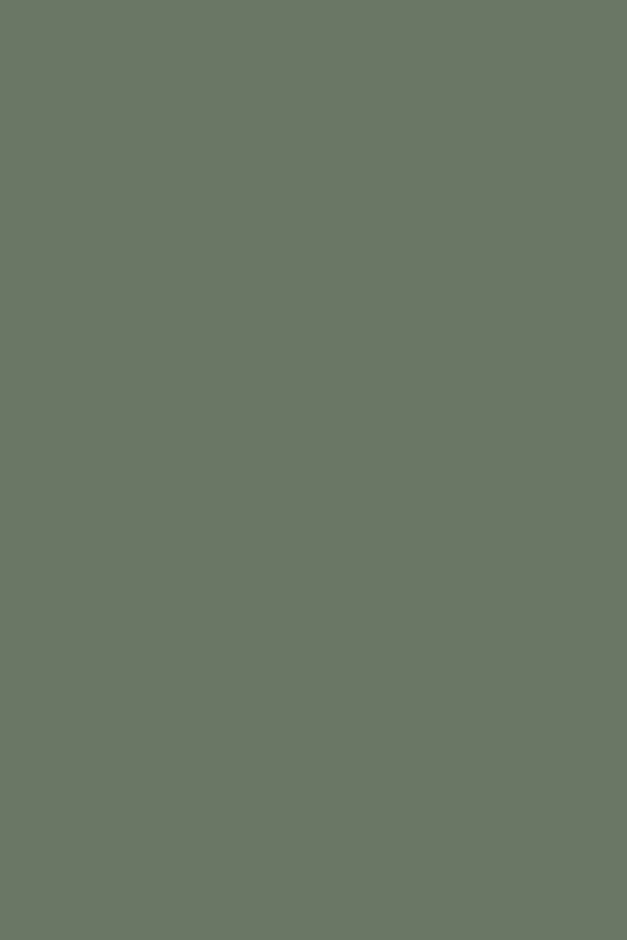 KR LDTD K521 SU Smoke Green 18 x 2070 x 2800 mm