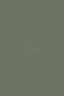 K521 UM/UM Smoke Green 18x1220x2800 mm