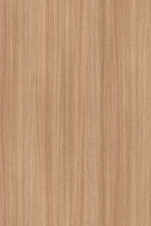 KR LDTD 5501 SN Slavonia Oak 18 x 2070 x 2800 mm