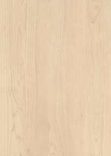 EG LDTD H 1732 Breza piesková ST9 18 x 2070 x 2800 mm
