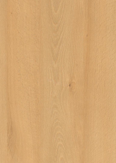 EG LDTD H 1910 Buk Willow ST9 18 x 2070 x 2800 mm