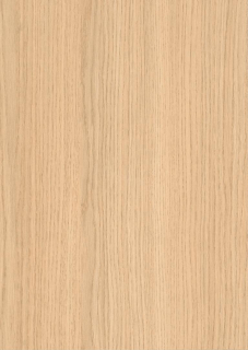 EG LDTD H 3152 Dub Vincenza bielený ST19 18 x 2070 x 2800 mm