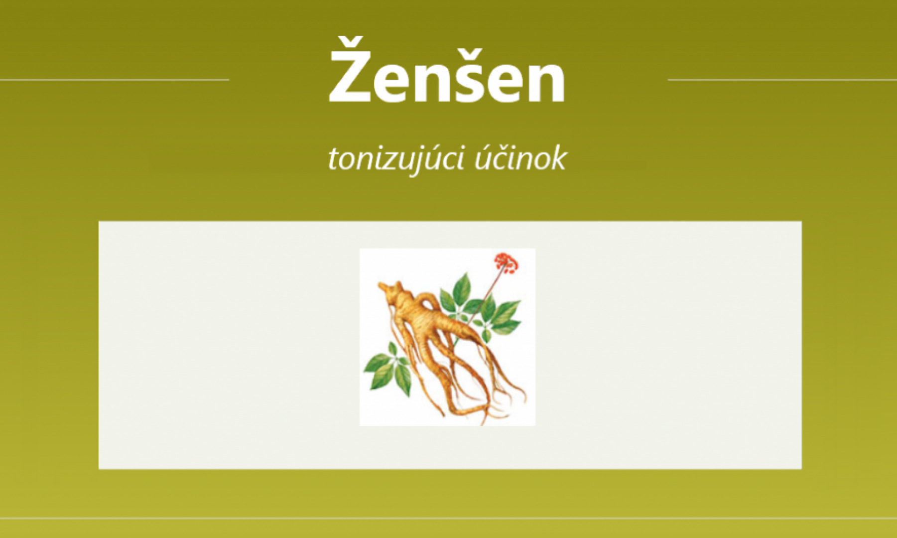 Ženšen