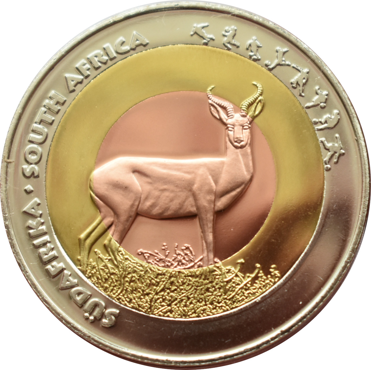 Južná Afrika medaila 2010