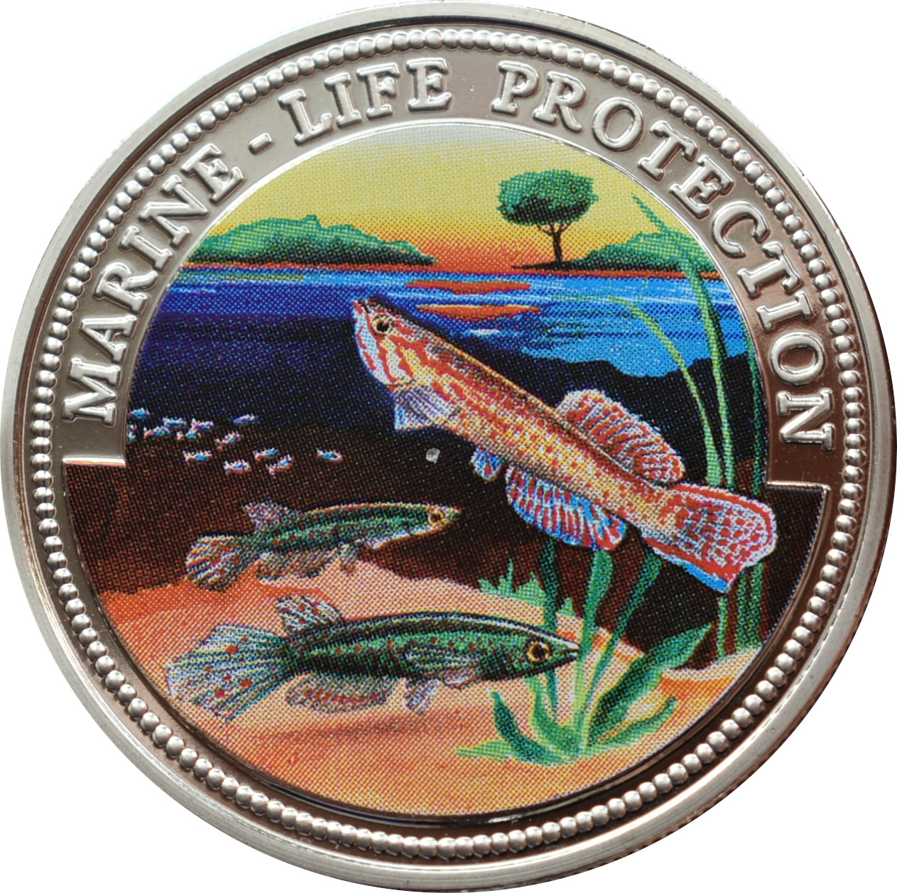 Somálsko 10 dolárov 1999