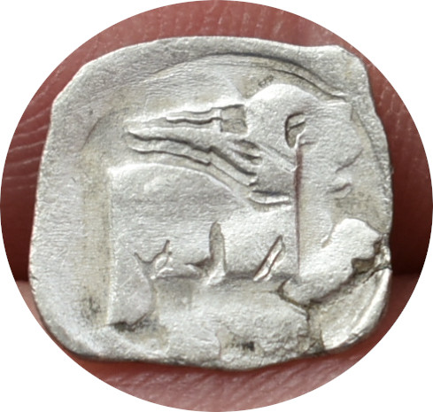 Albrecht II. 1330-1358 Pfennig