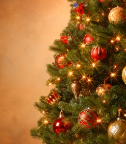 Parfém Vianočný strom, 25ml