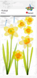 Nálepky Narcisy 10x17cm