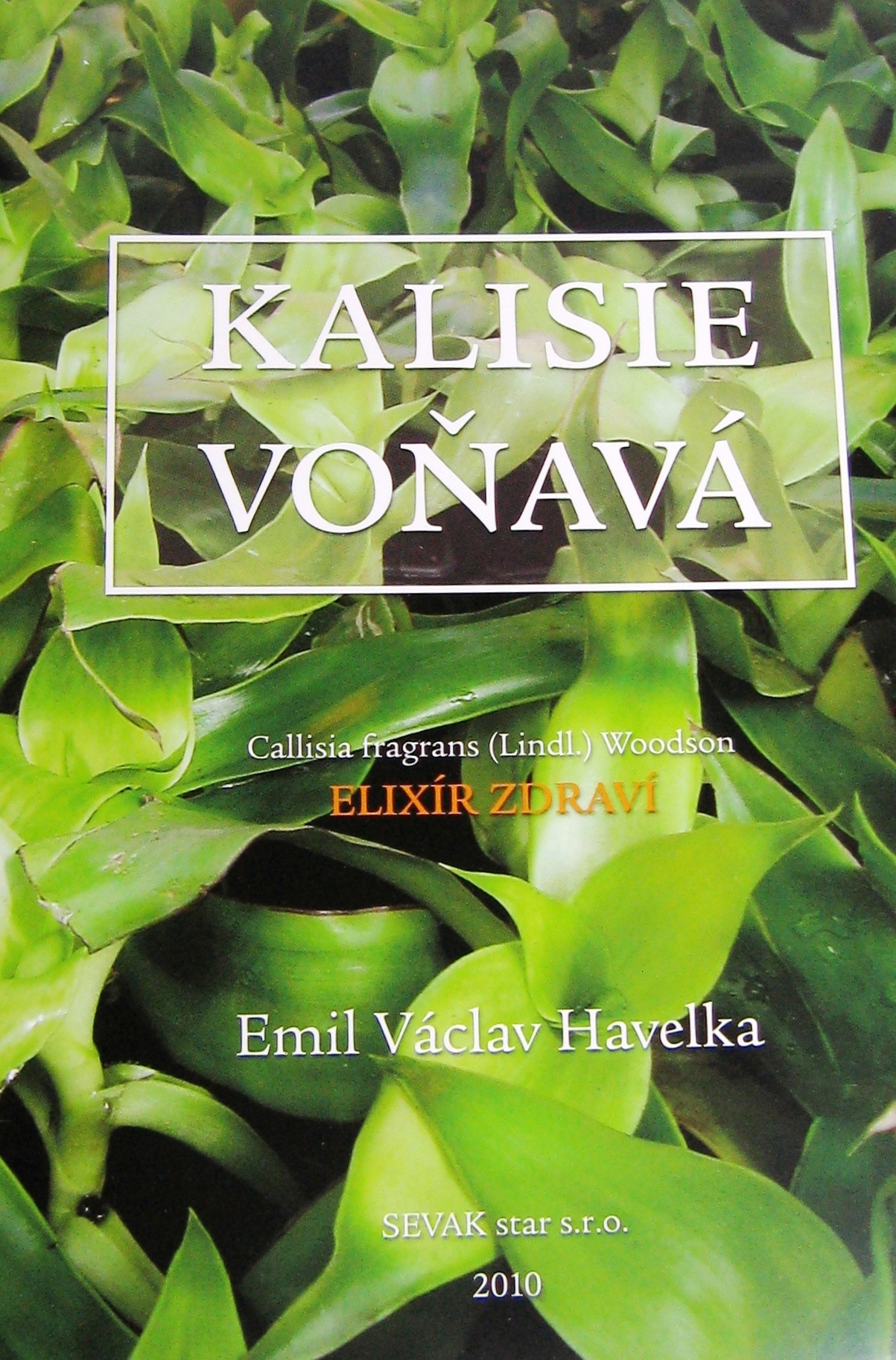 KALISIE VONNÁ - ELIXÍR ZDRAVÍ