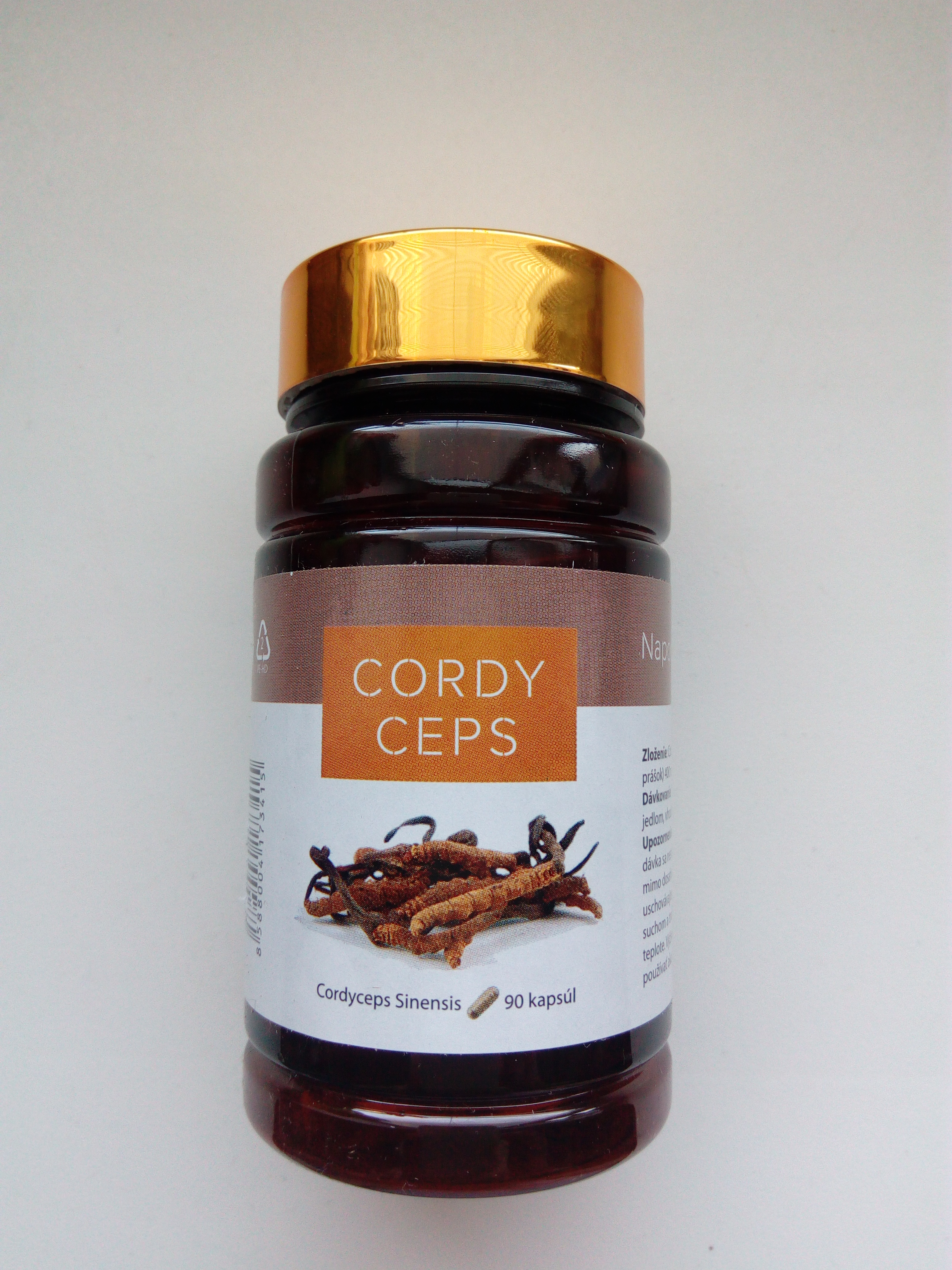 CORDYCEPS